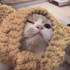 小狐狸钱包|(MetaMask)钱包苹果版